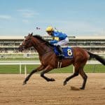 Colgan Senora Triomphe Au Quinté De Deauville 2025