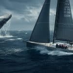 Collisions en Voile : Le Drame des Baleines