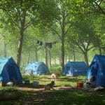 Crise des Sans-Abri à Paris : Bois de Vincennes en Surcharge