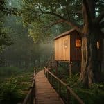 Dormir Dans Les Arbres : Une Évasion En Forêt