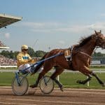 Grand Roi Kalouma Triomphe au Quinté de Vincennes