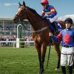 Guillaume Fourrier : De Jockey À Entraîneur Équestre