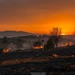 Incendie dans l’Aude Maîtrisé : Une Lutte Acharnée