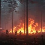 Incendie en Forêt d’Ermenonville : Piste Criminelle Soupçonnée