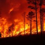 Incendies en Espagne : Un Été Dévastateur pour l’Environnement