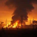 Incendies Ibériques : Ampleur d’une Crise Écologique