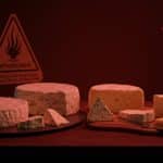 Listériose : Ce Que Révèlent les 21 Cas de Fromages Contaminés