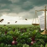 Loi Duplomb : Pesticides et Agriculture, le Débat Continue