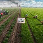 Loi Duplomb : Pourquoi Son Abrogation Est Demandée