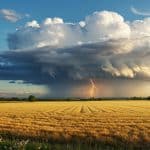 Météo Week-end : Canicule et Orages en Vue ?