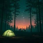Nuit Avec les Loups : Aventure Unique dans les Yvelines