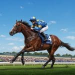 O’Wood Triomphe à Deauville : Quinté du 17 Août 2025