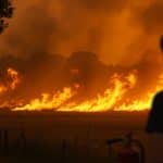 Pyromane de Charente-Maritime : Un Héros Malgré Lui ?