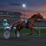 Quinté à Cabourg : Jack des Ass Brille en Star