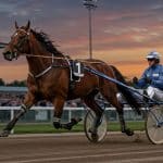 Quinté Paris-Vincennes 20 Août : Indy Dark, Futur Champion ?
