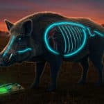 Sangliers Bleus Fluo : Mystère en Californie