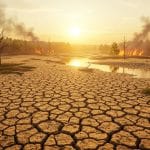 Sécheresse Record en Europe : Un Été 2025 Alarmant