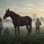 Seize Chevaux Sauvés d’un Élevage en Crise en Mayenne
