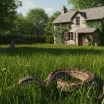 Serpents En Île-de-France : Guide Et Conseils Pratiques