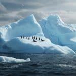 A23a : La Fin Imminente du Géant des Glaces