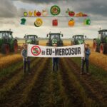 Accord UE-Mercosur : Pourquoi les Agriculteurs Se Mobilisent