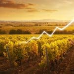 Canicule 2025 : Impact Économique Limité Expliqué