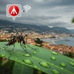 Chikungunya à Antibes : Alerte et Conseils pour 2025