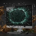 Cyberattaque : Le Muséum Annule Son Exposition Tropicale