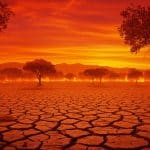 Été 2025 : Les Chiffres Alarmants du Climat en France