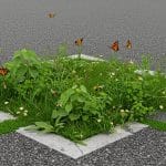 Faut-Il Laisser Pousser Les Mauvaises Herbes En Ville ?