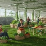 Les Coopératives : Une Révolution Économique Durable