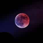 Lune de Sang 2025 : Les Plus Belles Images de l’Éclipse