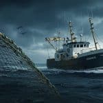 Pêche Illégale en Finistère : Un Capitaine Irlandais Jugé