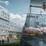 Scandale Médical à Strasbourg : Patients ou Porcs Prioritaires ?