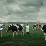 Test Antituberculose Bovine : Opération Majeure dans le Calvados