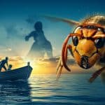 Un Sexagénaire Décède d’une Piqûre de Frelon en Bateau