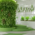 Végétaliser Son Bureau : 3 Solutions Innovantes Pour Les PME