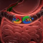 Adolescent Opéré Après Avoir Avalé 100 Aimants : Dangers Révélés