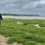 Algues Vertes : Combat d’une Lanceuse d’Alerte