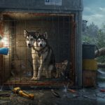 Appel aux Dons Refuge Évry : Sauver Animaux en Urgence