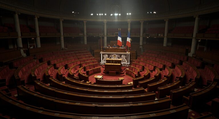 Assemblée Nationale : La Démocratie En Débat