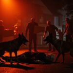 Attaque Chiens Draveil: Nonagénaire Dévorée