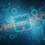 Cellules T Régulatrices : Nobel 2025 Révolutionne la Médecine
