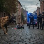 Chien Errant Attaque Enfants Près Toulouse