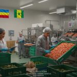 Comment Une Usine Résout La Pénurie De Main-d'œuvre