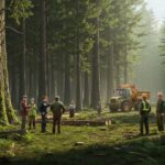 Coupes d’Arbres en Forêt : Dialogue ou Conflit avec l’ONF ?