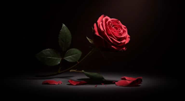 Féminicide dans le Rhône : Un Drame Conjugal qui Interpelle