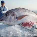 Ikejime : La Révolution Japonaise du Poisson Savoureux