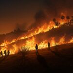 Incendie de Los Angeles : Un Franco-Américain Plaide Non Coupable