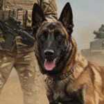 Loki, Héros Canin : Dans l’Intimité des Chiens Militaires